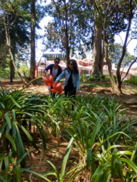 Environment is derived out of French word â€œEnvironâ€